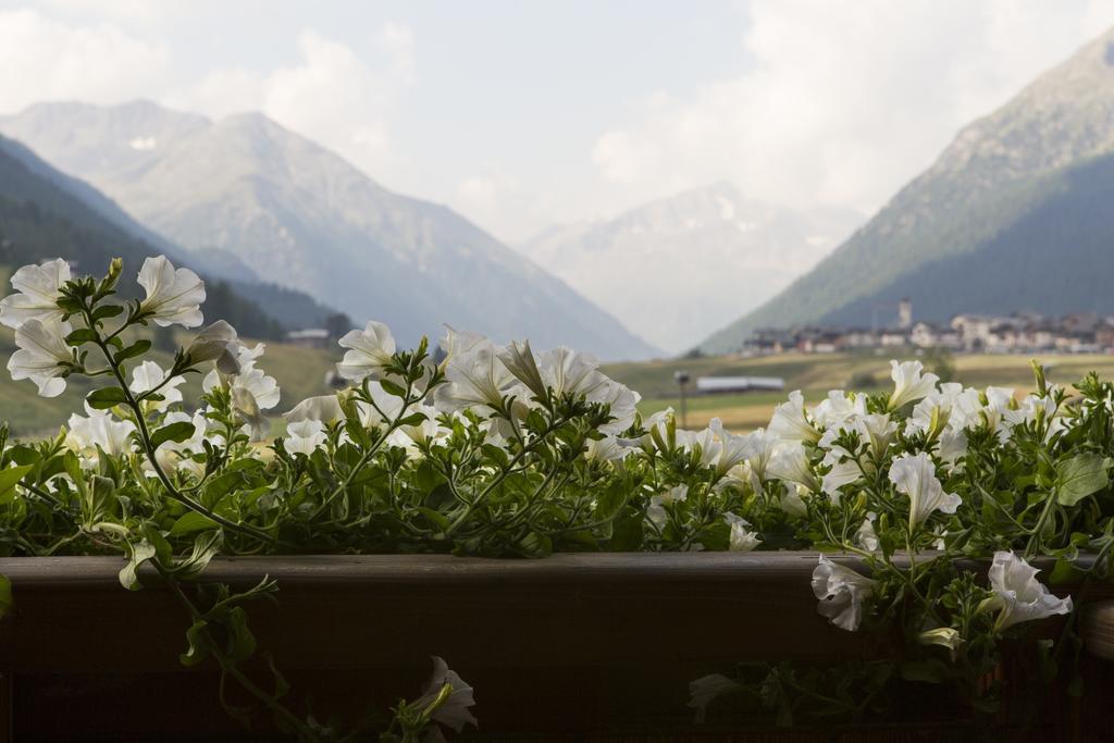 B&B The King Livigno Exterior photo